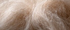 Rare Fibers — white fluffy fiber close-up